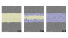 Incucyte® Scratch Wound Analysis Software Module