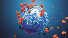 iQue® Human T Cell Killing Kit