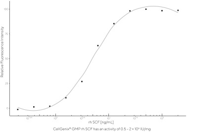 CellGenix® rh SCF (GMP Grade)