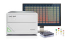 Incucyte® SX1 Live-Cell Analysis System