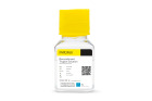 Recombinant Trypsin Solution