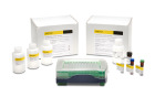 Octet® Anti-CHO HCP Kit