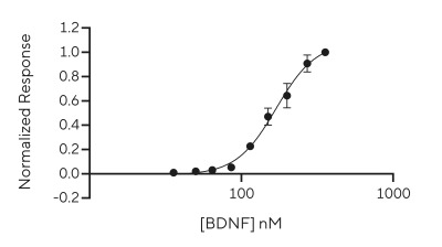 RUO Recombinant Human BDNF Protein