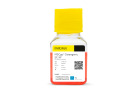 MSCgo™ Osteogenic Differentiation Medium