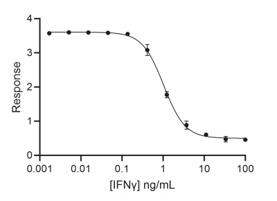RUO Recombinant Human IFN gamma Protein