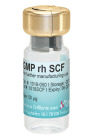 CellGenix® rh SCF (GMP Grade)