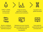 PATfix® pDNA Platform