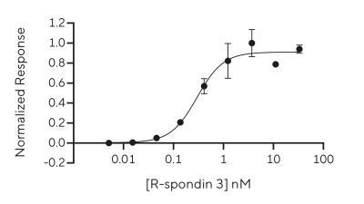 RUO Recombinant Human R-spondin 3 Protein