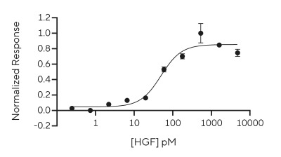 RUO Recombinant Human HGF (NK1) protein