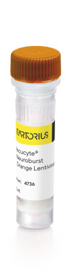 Incucyte® Neuroburst Lentivirus (Synapsin)