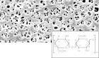 Regenerated Cellulose Membrane Filters / Type 18407, 0.2 µm pore size, 142 mm diameter, 100 pieces per pack