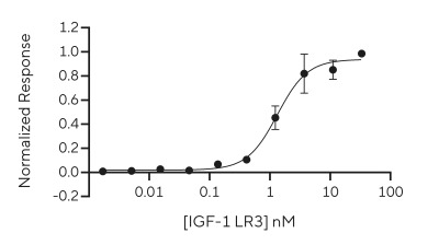 igf-1 lr3 pharmacokinetics (Human), Recombinant Protein, CHO, Tag Free RUO Recombinant Human IGF-1 LR3