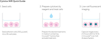 Incucyte® Cytotox Dye for Counting Dead Cells