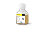 Human Serum Albumin (HSA), 20% solution