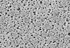 PES Membrane , 293 mm, 0.8  µm