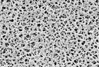 Cellulose Acetate Membrane Filters Discs/ Type 11105, pore size 0.65 µm, 100 pieces per pack