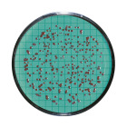 Nutrient Pad Sets, Dehydrated Media Pads in Standard TTC Media and 0.45µm gridded Membrane Filter