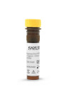 Virotag® AAV2-3 Reagent Kit, 100 Assays