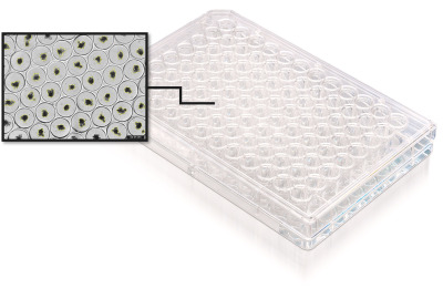 Incucyte® 3D Nanowell 96-well Microplate for Organoid Assays - 500  µm