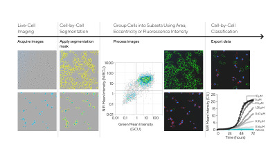 Incucyte® Cell-By-Cell Analysis Software Module