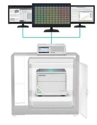 Incucyte® SX1 Live-Cell Analysis System