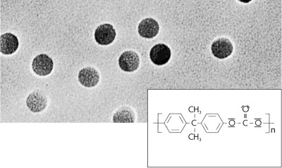 Polycarbonate Track-Etched Membrane Filters / 0.1 µm / 25 mm Discs