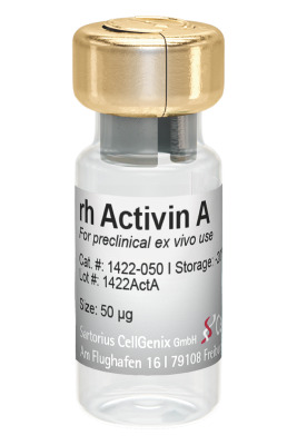 CellGenix® rh Activin A (Preclinical Grade)