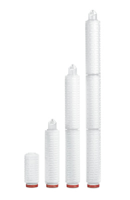 Sartopure® IND Cartridge 1.2 µm 10"