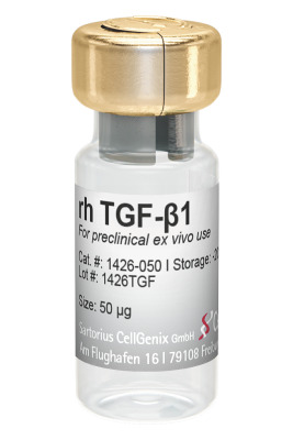 CellGenix® rh TGF-β1 (Preclinical Grade)