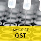 Octet® Anti-Glutathione-S-Transferase (GST) Biosensors