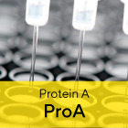 Octet® Protein A (ProA) Biosensors