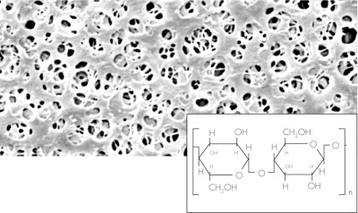 Regenerated Cellulose (RC) Membrane Filter