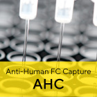 Octet® Anti-Human Fc Capture (AHC) Biosensors