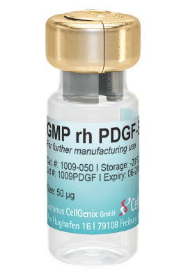 CellGenix® rh PDGF-BB (GMP Grade)