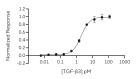 RUO Recombinant Human TGF-β3 PLUS Protein