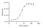 RUO Recombinant Human SCF Protein
