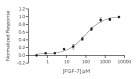 RUO Recombinant Human KGF (FGF-7) Protein