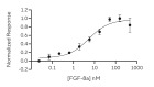 RUO Recombinant Human FGF-8a Protein