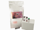 iQue® Human Multiplex Antibody Internalization Kit