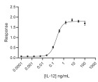 RUO Recombinant Human IL-12 Protein