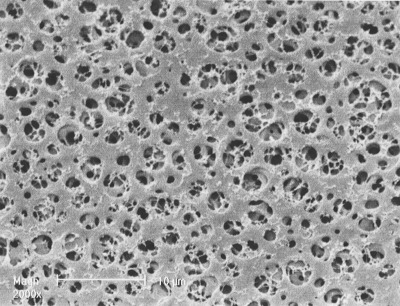 Cellulose Acetate Membrane Filters Discs/ Type 11105, pore size 0.65 µm, 25 pieces per pack