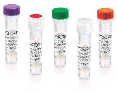 Incucyte® Reagents and Kits