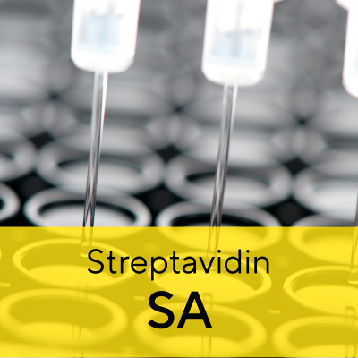 Octet® Streptavidin (SA) Biosensor