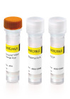 Incucyte® MMP Reagent Kit
