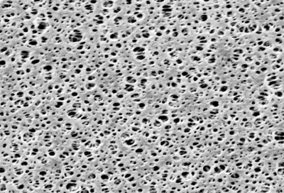 Polyethersulfone Membrane Filters - Type 154078- 0.1 µm pore size- 25 mm diameter- 100 pieces per pack