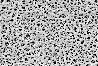 Cellulose Acetate Membrane Filters / Type 11104, pore size 0.8 µm, 100 pieces per pack