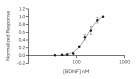 RUO Recombinant Human BDNF Protein