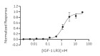 RUO Recombinant Human IGF-1 LR3 Protein