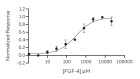 RUO Recombinant Human FGF-4 Protein